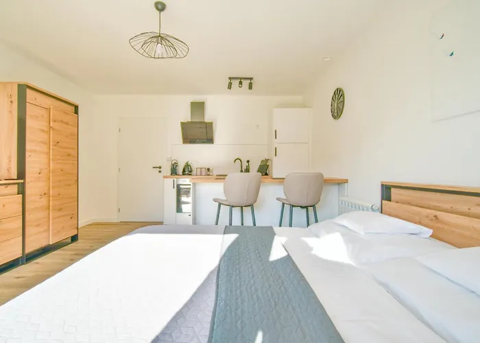 Apartment Vesele Lipno *